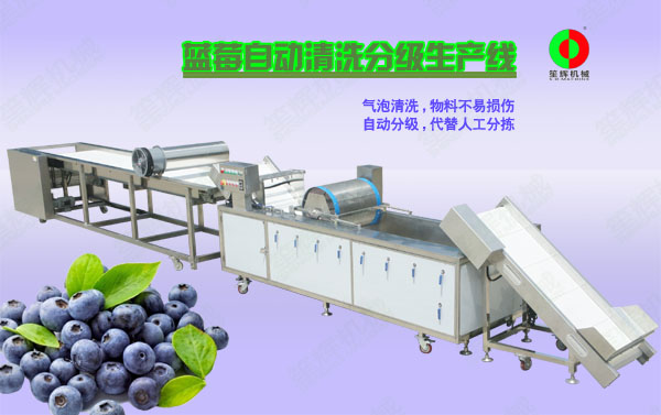 涪城蓝莓/蔬果全自动清洗分级生产线
